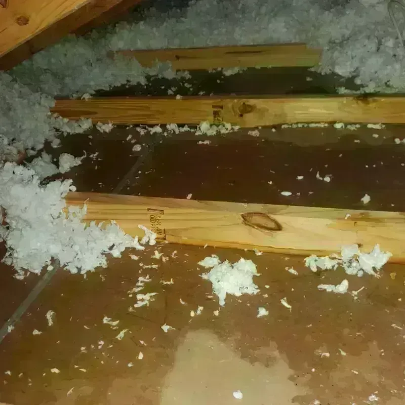 Attic Water Damage in Cloverdale, IN